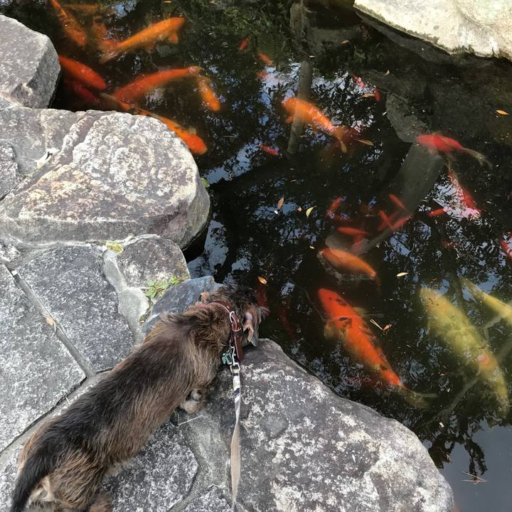 5eda496f 412d 453b 87de 5a60e92c6832 1553430634082