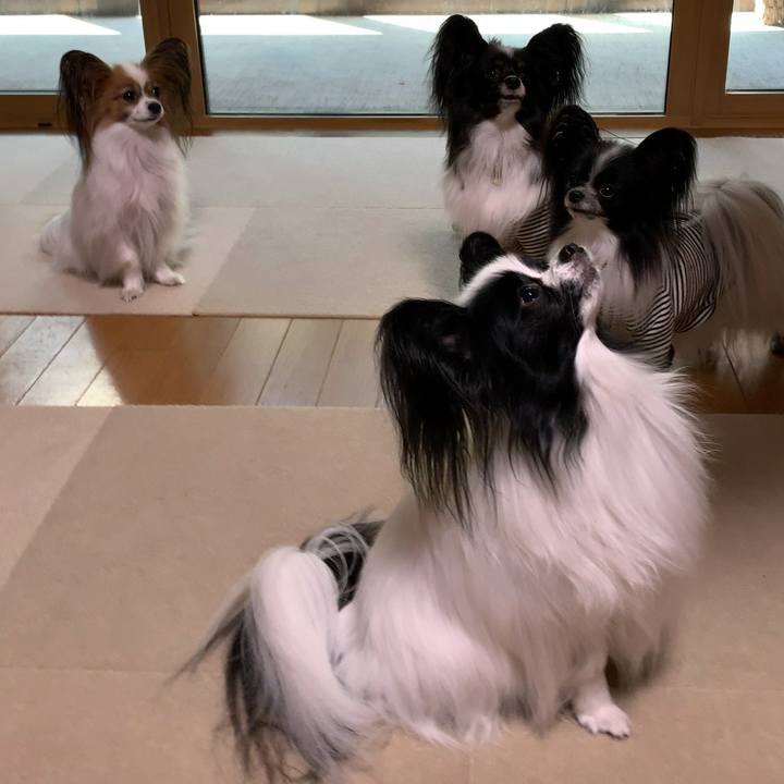 5eda739e c181 4a2e 8ab4 8376d2bc51dc 1557100648236