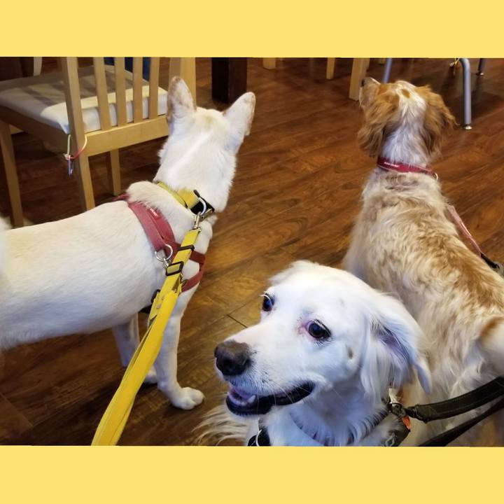 5eda922a 206f 4016 80b8 51aa848302eb 1599998258627