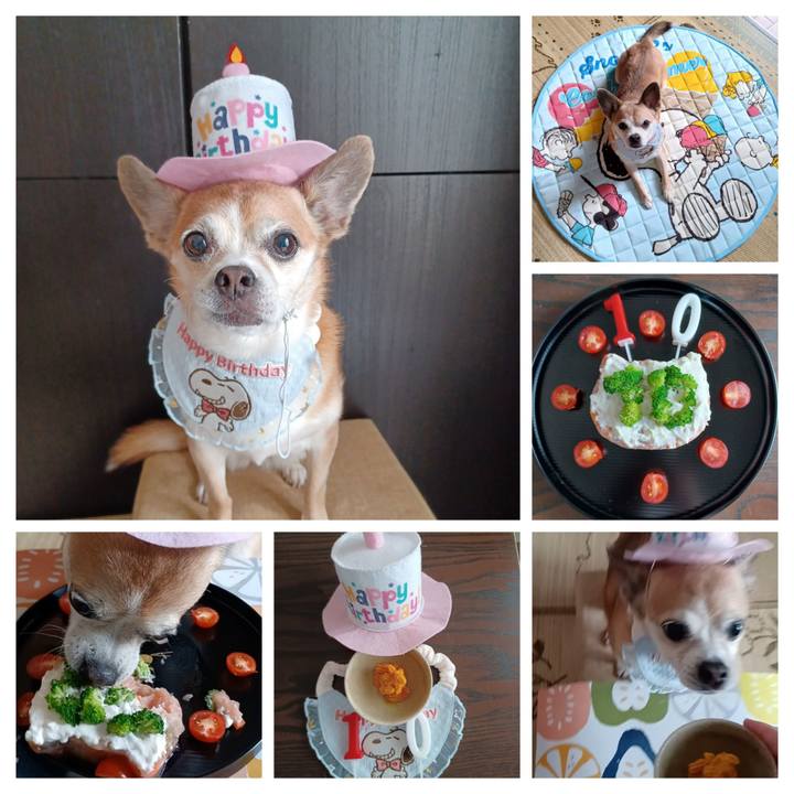 5eda9402 c3ce 4fb7 b3cf 77501d753fe7 1756598466035