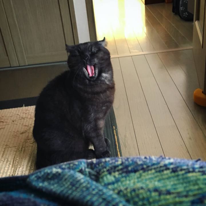 5edab991 74d9 43a1 aaac 2d95c1a71e0e 1519531787220