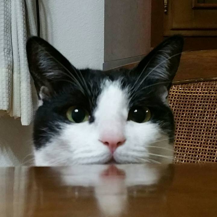 5edad115 ee21 4231 b8ad 3afab02e5a4d 1516576777490