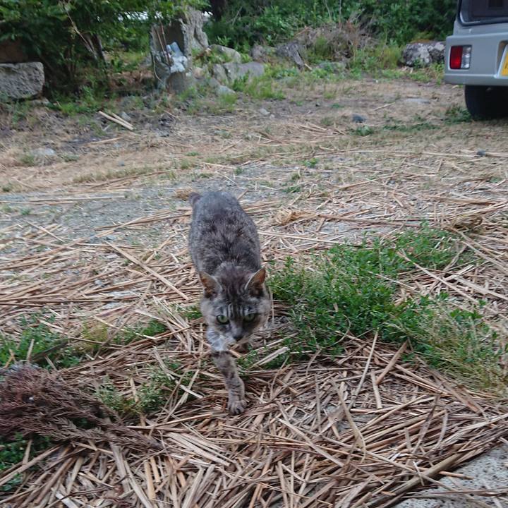 5edb08ca 8023 4bcd 89a0 71fad24a634f 1592817085726