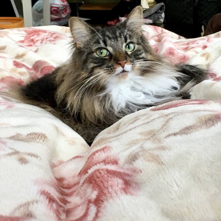 5edb9421 faae 478c 9cb9 723a6a528a5a 1510409637158