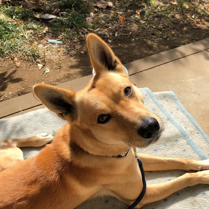 5edbd87b a7bf 4fd8 bc58 db78e9096782 1549767674649