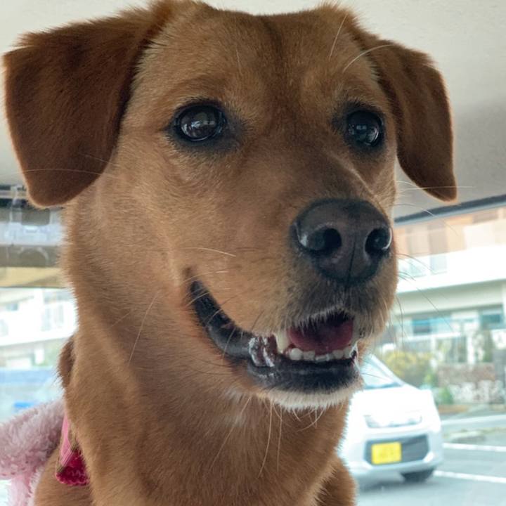 5edbe191 03b1 4e02 ae6a 35332d15777a 1550925962025