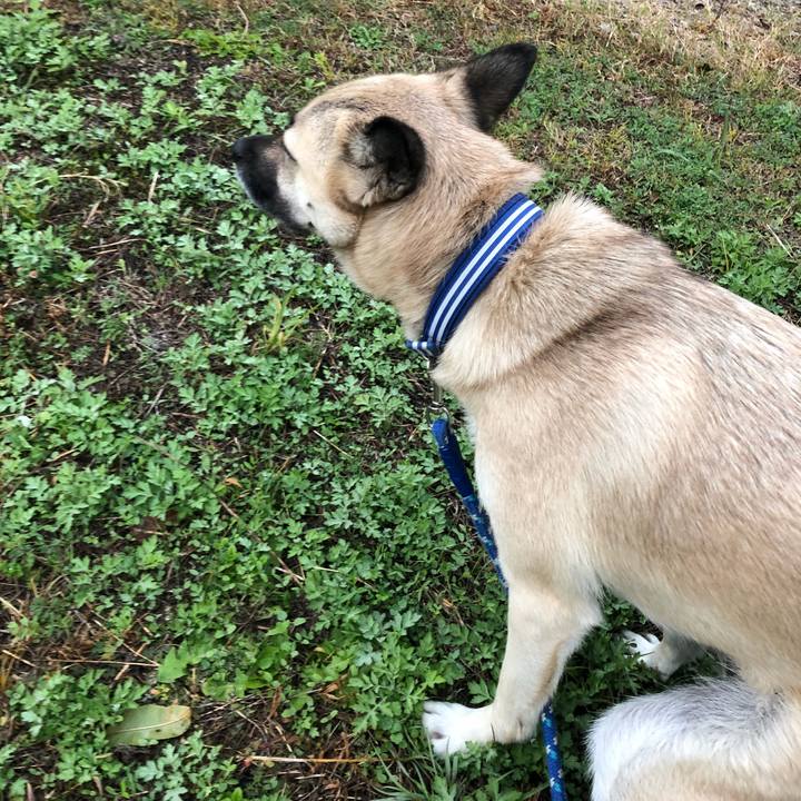 5edc0fae 5566 4bf3 b1a3 149a4945acba 1543665951234