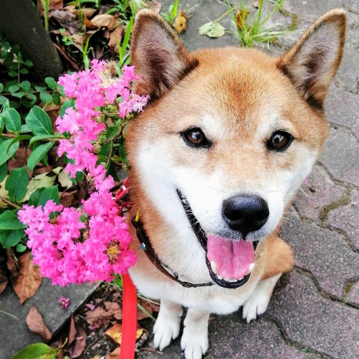 5edc15d1 5f6f 4fd2 a6ad befe3c1c74ad 1599723940411