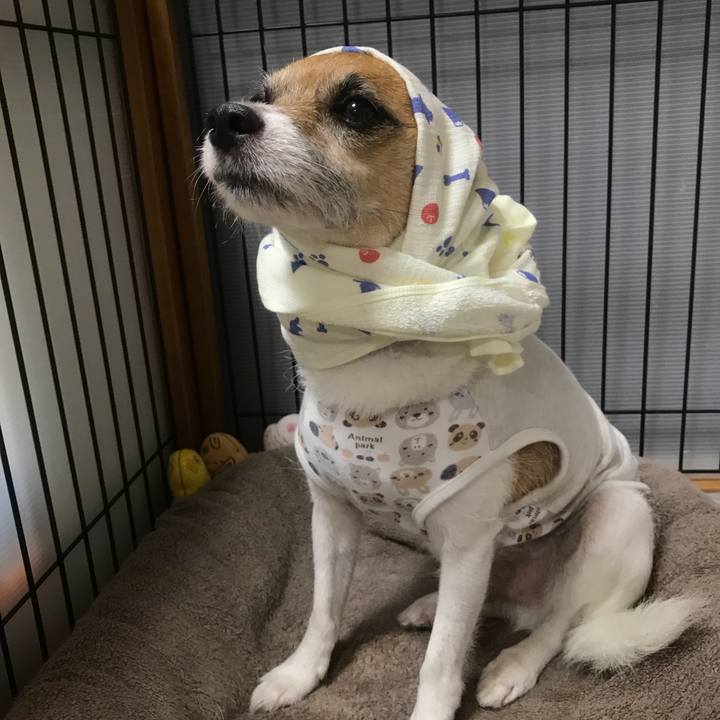 5edc1977 0267 4fab b1f2 ef411432abff 1533378349230