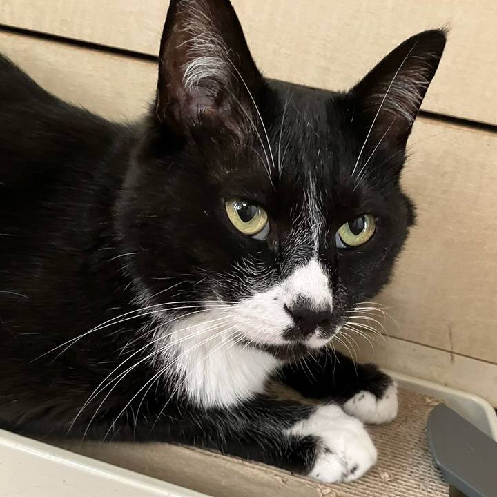 5edc1bb8 a24b 4c61 8e4c c265b039e2d0 1721273441385