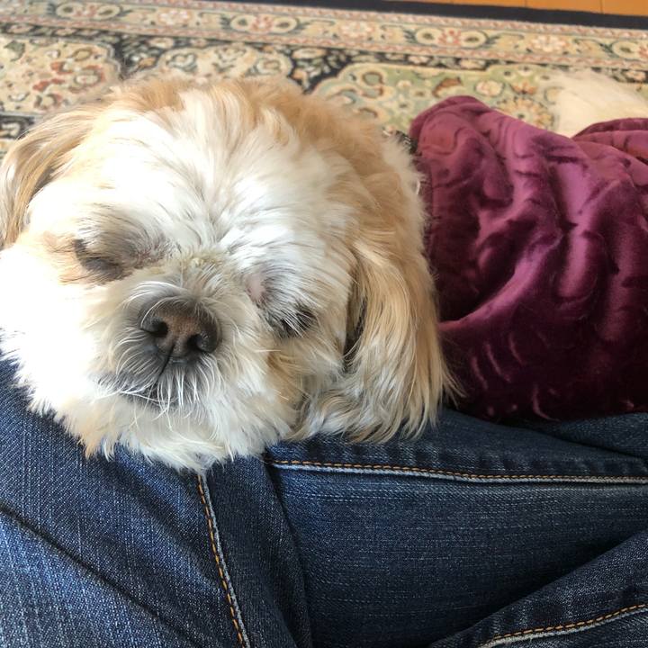 5edc3409 ae80 4ed9 a4b9 03f5a083a95e 1615845201836