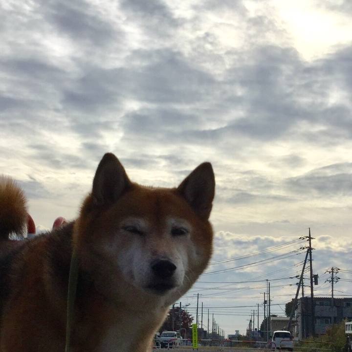 5edc423d 1859 43e8 8ce6 7da694cd1942 1604711457173