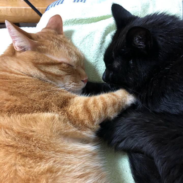 5edc675e d08d 419d 8711 0efab9c13ee4 1623851222089