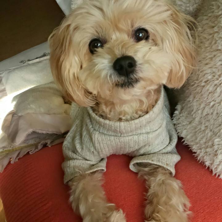 5edc748e 8c8f 4896 a712 403b88ac3cb1 1517119609546