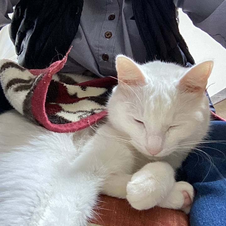 5edc7d0d 274f 4027 82e8 0b85e5b20846 1669071556657