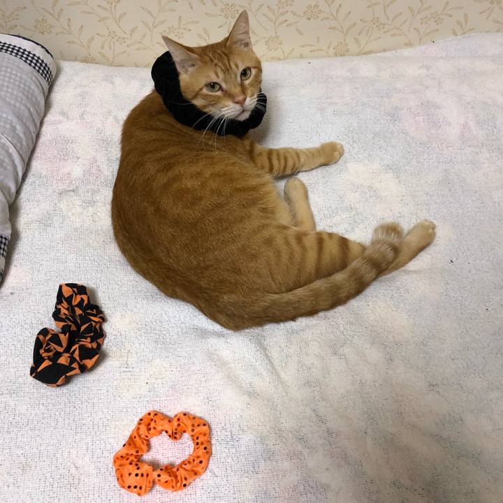 5edc886f 7117 48f3 8cc5 0b3dc2b88cad 1570271888586