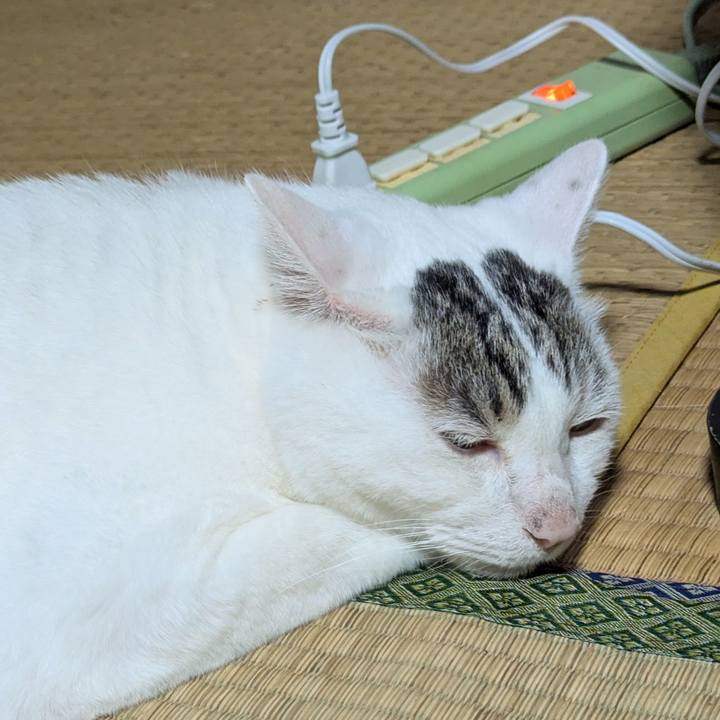 5edcc6cc 0d8a 405b a325 39fa69f57380 1721556459742