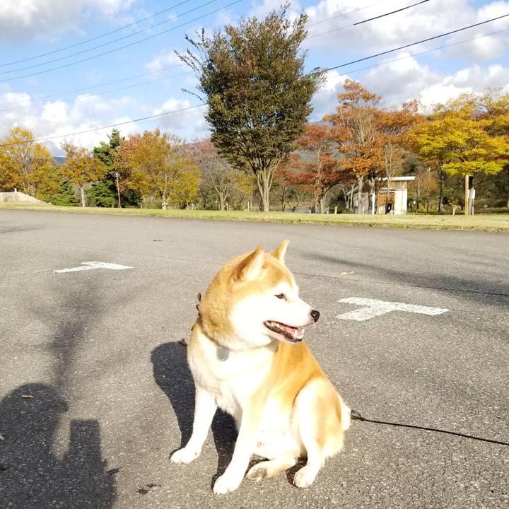 5edce759 1767 4608 909e fc360a679f49 1635400768724