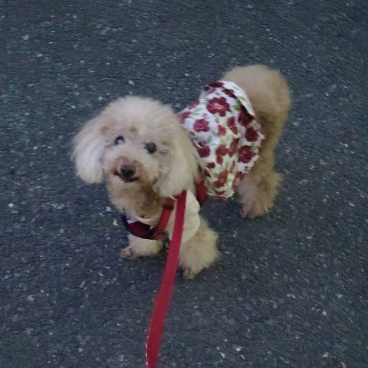 5edd063b 70b8 4d8b 9b31 207e29649591 1696679058006