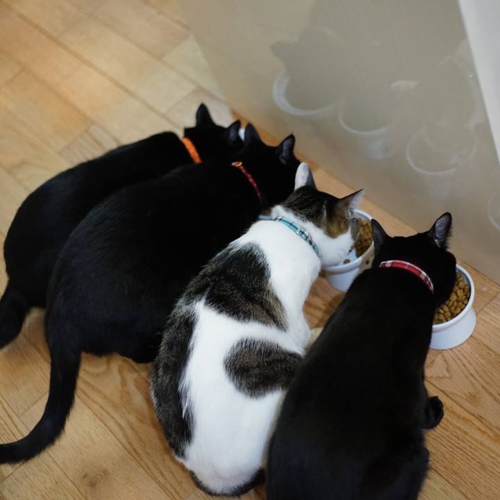 5edd1054 4769 49e9 a800 cc93877149b1 1523108484363