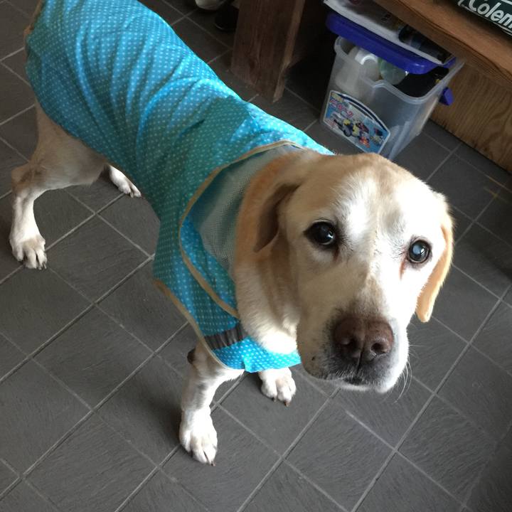 5edd3b58 def2 4116 bd6c c09c206b2514 1577364395378