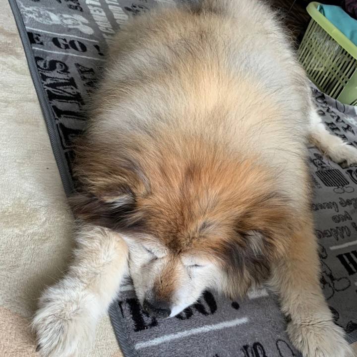 5edd5cae 9efe 4e7e 8e1a 43556543aeea 1587279006511