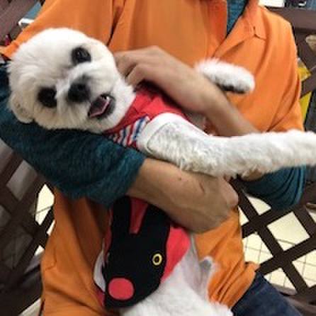 5edd9de7 168d 4d26 aed8 c584c1b65193 1510313794274