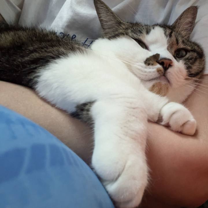 5edd9ff5 ac63 45a0 8ada e57d4def23a1 1729556978977