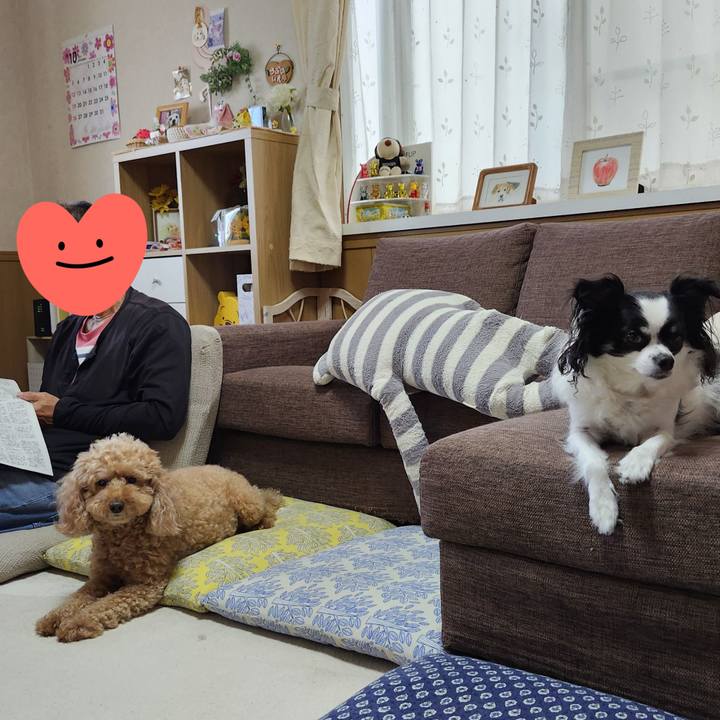 5eddad91 b867 4aaa 8d71 5b0cdfc2d096 1760314626610