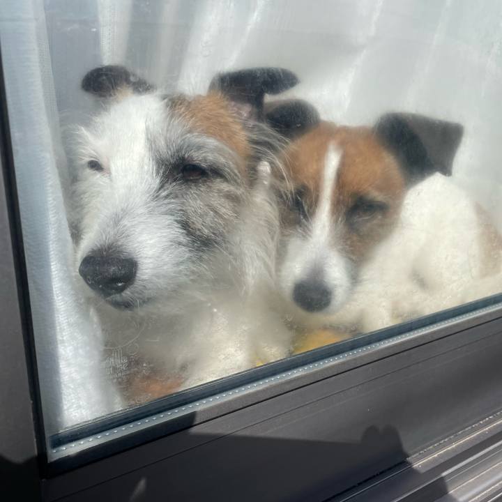 5eddc571 1aca 43d4 82eb 10b08113368e 1773023771743