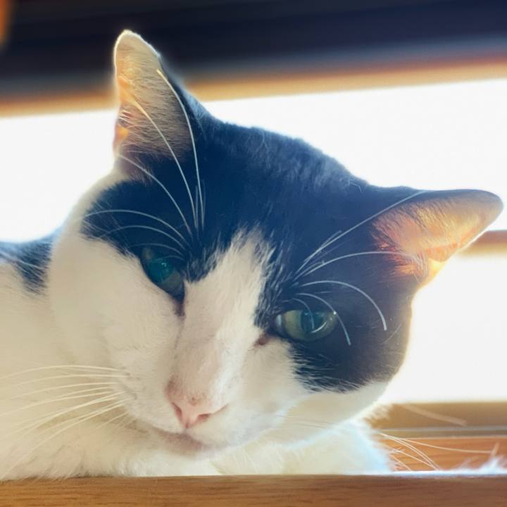 5ede256e 7dd8 4083 98ca 4dfe495f1aab 1598063813831