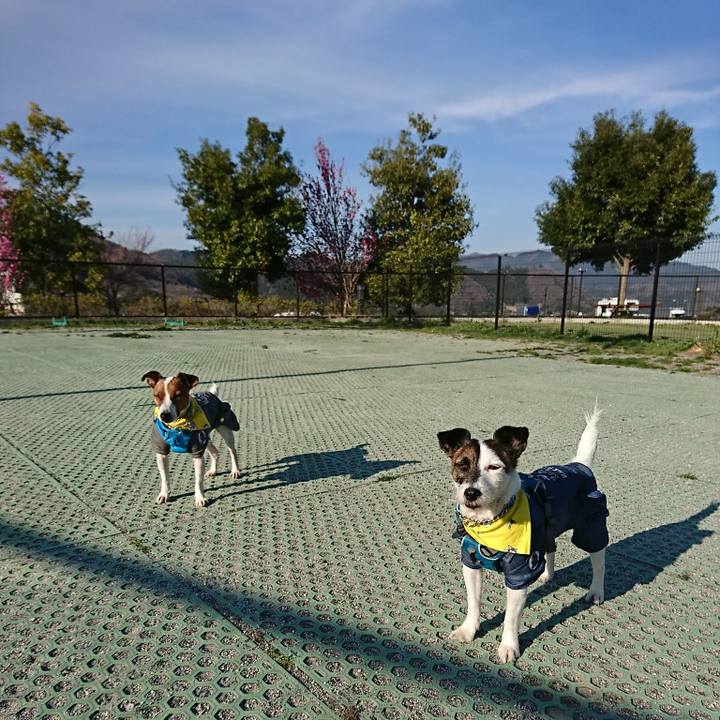 5ede3ff1 c689 4931 a9be 42b14aecfcb6 1555143675590