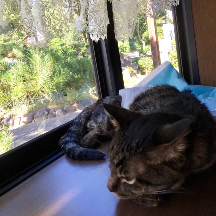 5ede670d 29cc 42d0 aeaf 4d6142ce280f 1534550551450