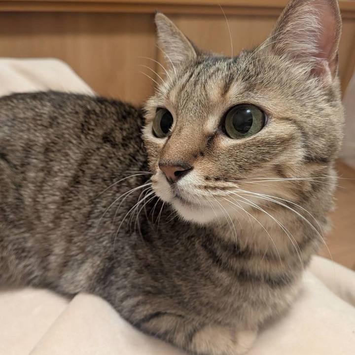 5ede8c28 a7ee 401c 8461 55d86df29f99 1770917972437