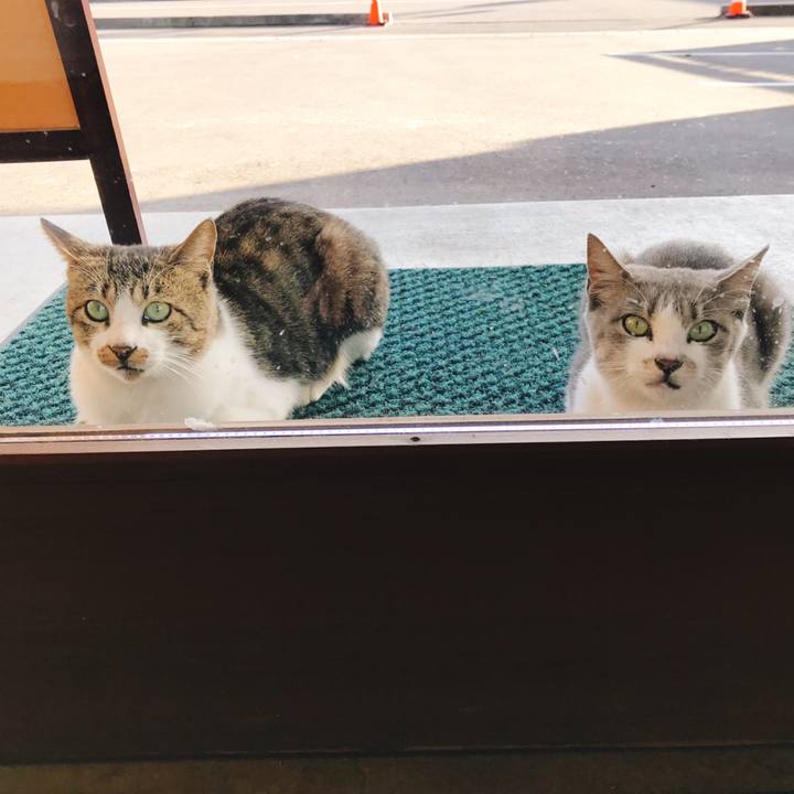 5edf0eb5 02e2 406d a593 5e1b27002623 1540631701580