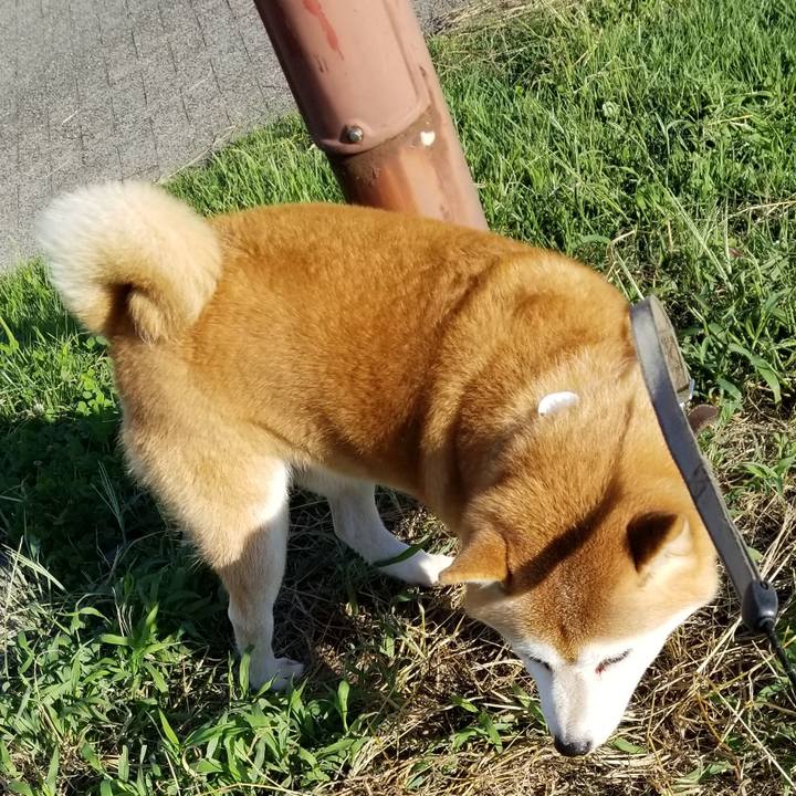 5edf137e fb75 4f8a 8119 fc813e723dfd 1632036044104