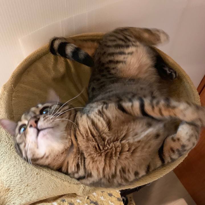 5edf1aeb ec2d 42d3 b641 a8a78baa3fce 1586124977649