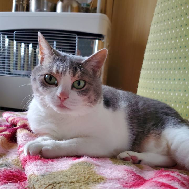 5edf2c3f 71e4 4385 b97d 6d2981858943 1716953477690