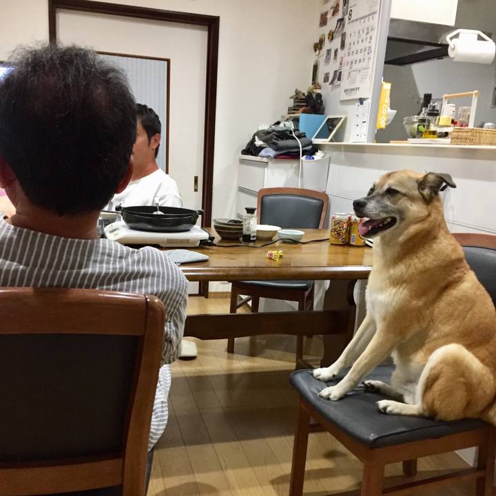 5edf614b b284 4902 a4bf ea1b5a7ceab9 1535277542166