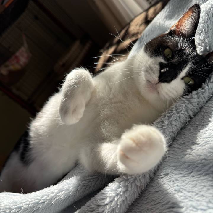 5edf706c 3c66 4def a2c5 c55522c2e87d 1767500160259