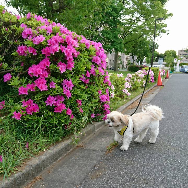 5edfa07f f8e1 4172 bf61 2203727aa9a3 1557130836577