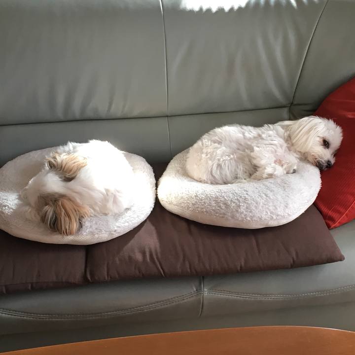 5edff06d a5c5 4248 bea7 e044f64c0f60 1540424068012