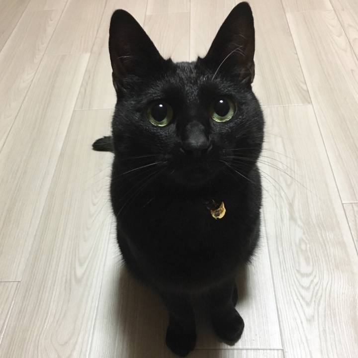 5ee0095d e0fa 4e60 a916 0d330dfb5398 1518617658996