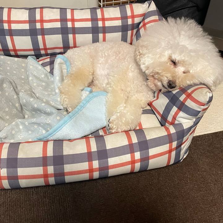 5ee00c0c ce8e 43cc 9f77 369544160bc0 1757641480206