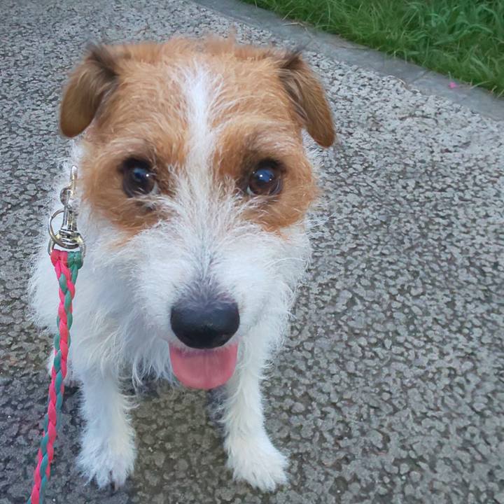 5ee0219c 3436 4525 8883 acfa5c3f0177 1597448243567