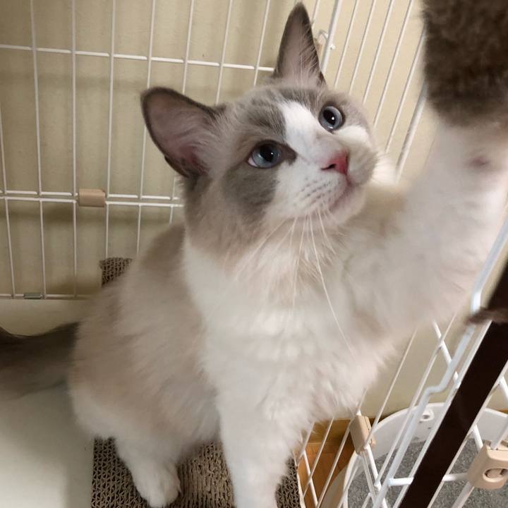 5ee05206 6c4a 4123 b3f6 45b055491c14 1568972647306