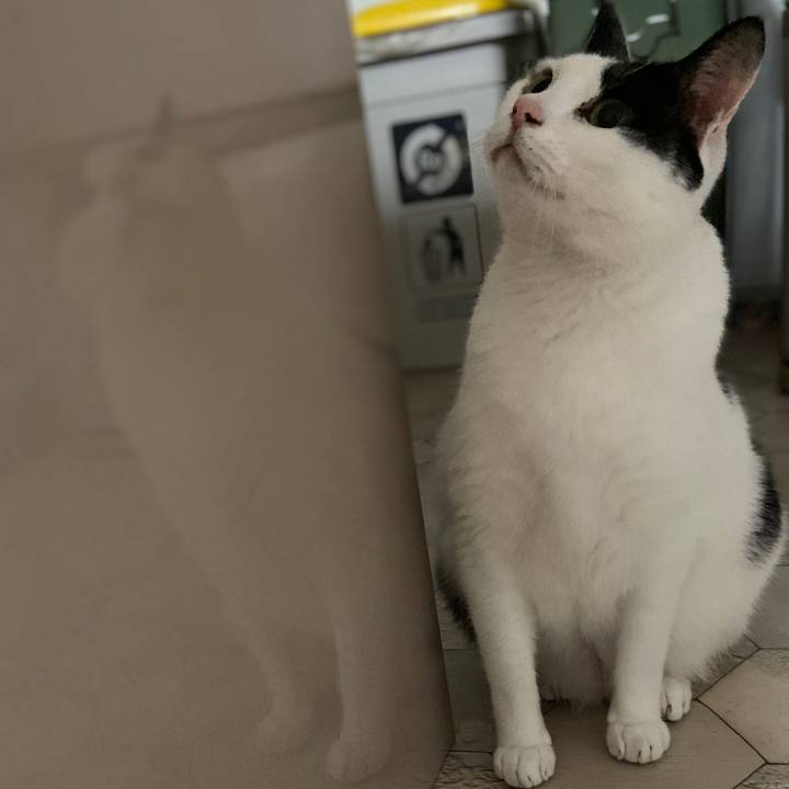 5ee066ac eeea 49ce be52 48fb2e6977d7 1580211973539