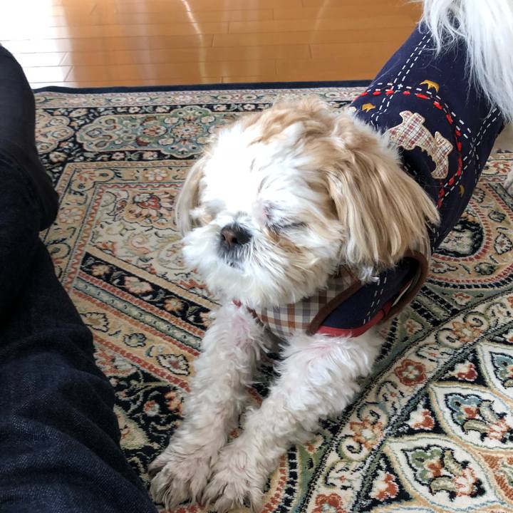 5ee06a04 b179 4653 80a8 e4ded32e977f 1521669240363