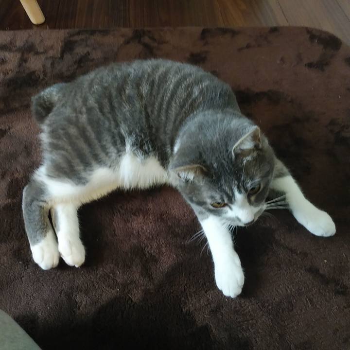 5ee0c8ff f078 4979 82f0 b951d910bafb 1582589892736