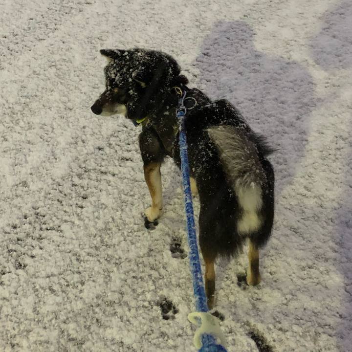 5ee0df09 75c7 41bc b6f0 38134e8ede34 1553634544005